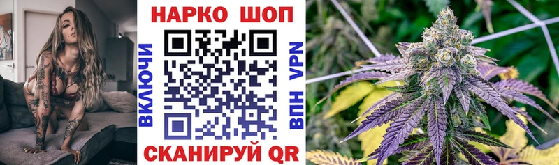 Конопля Сунжа