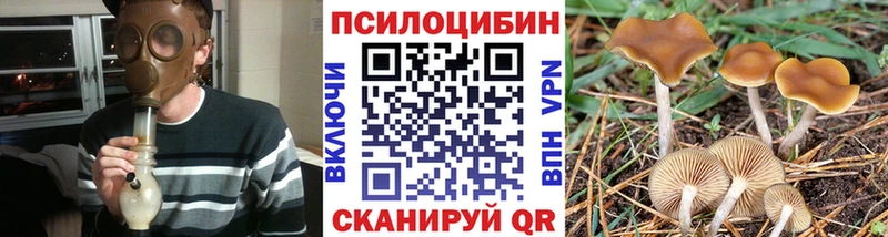 Псилоцибиновые грибы ЛСД  Купить  Сунжа 